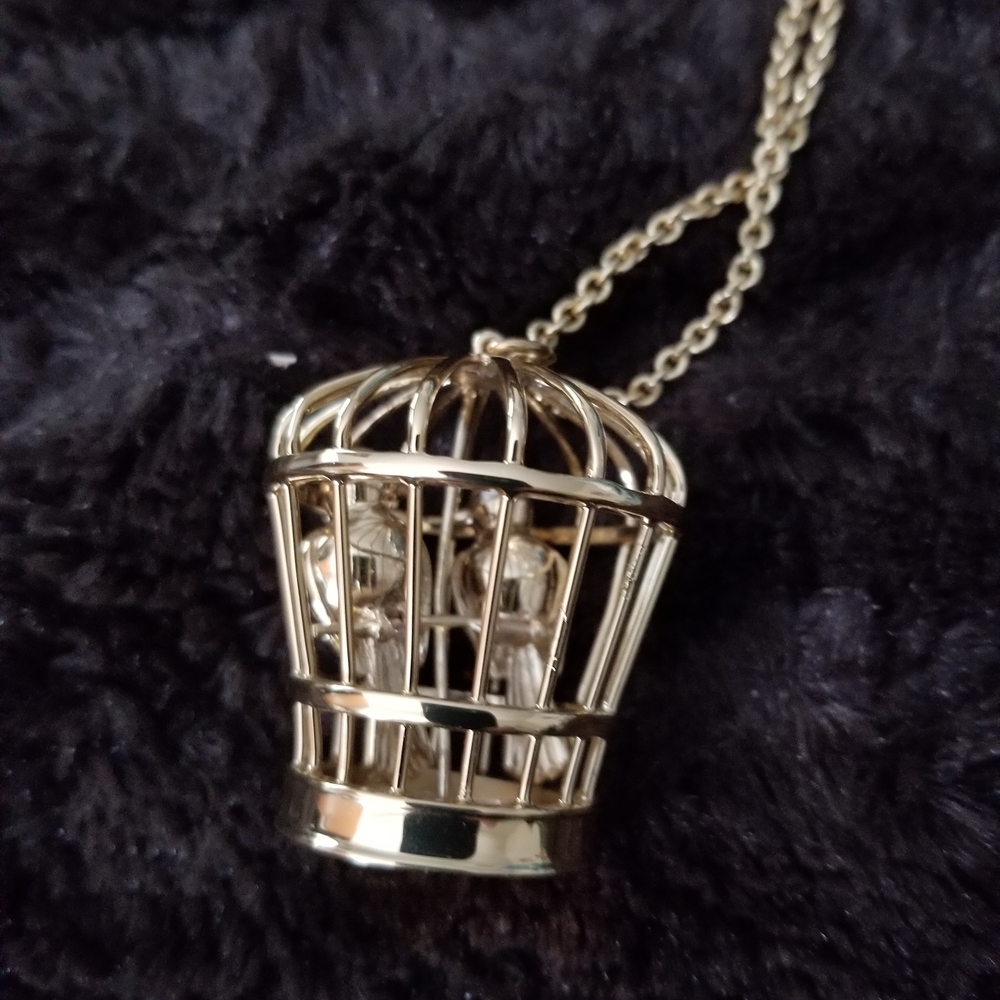 Kate Spade Gold Birdcage Necklace Will Add Additional Pictures.
